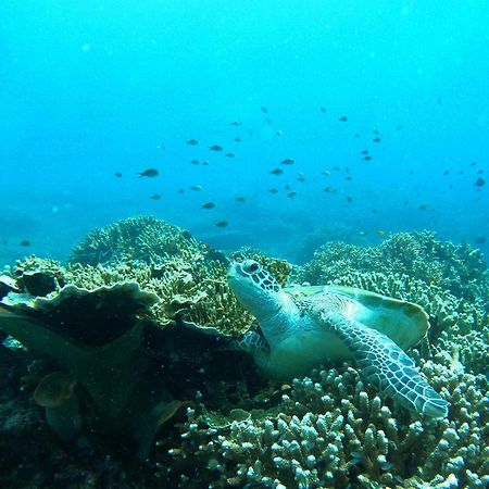 4 Sisters Divers Bunaken Kültér fotó