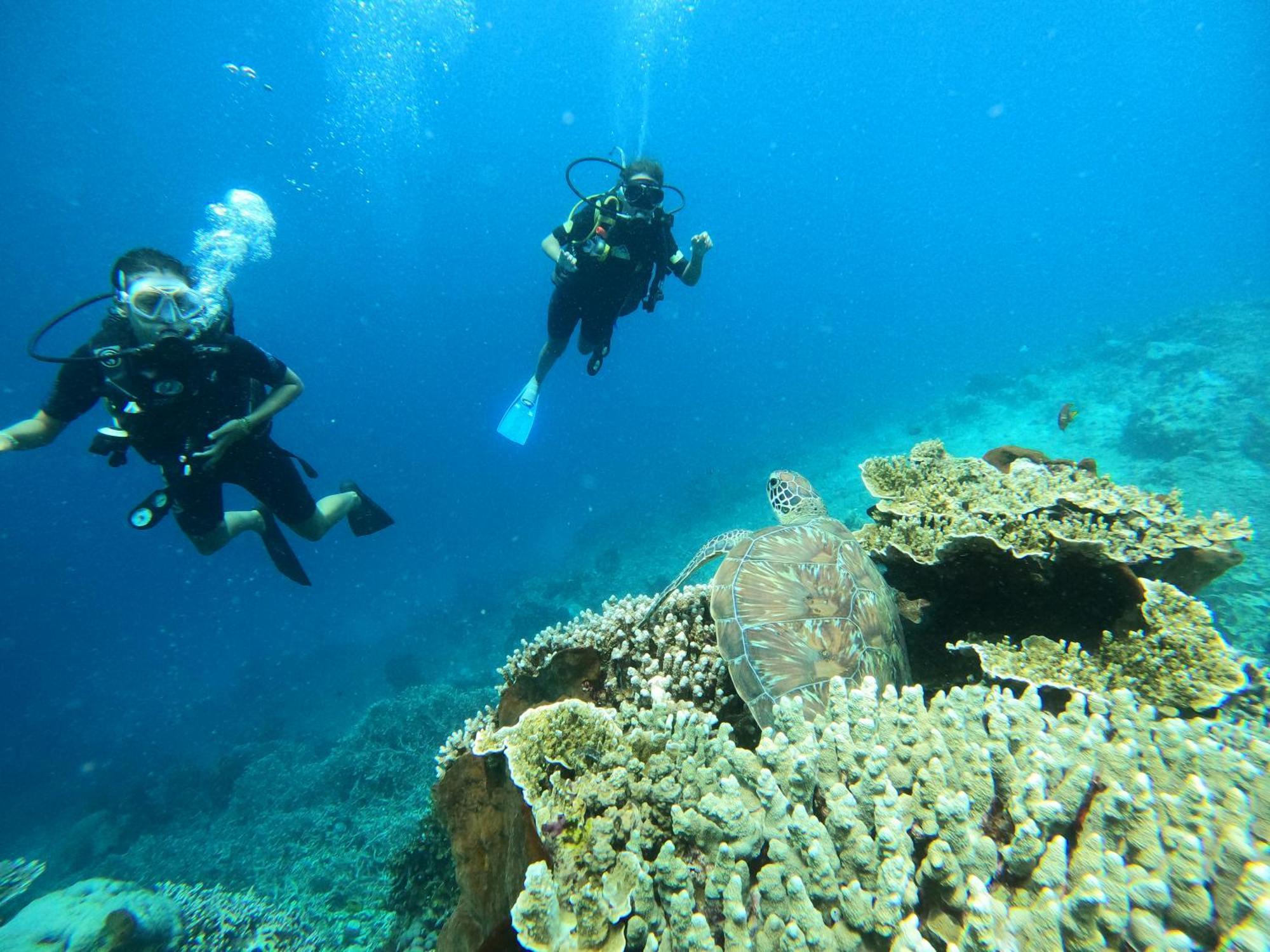 4 Sisters Divers Bunaken Kültér fotó