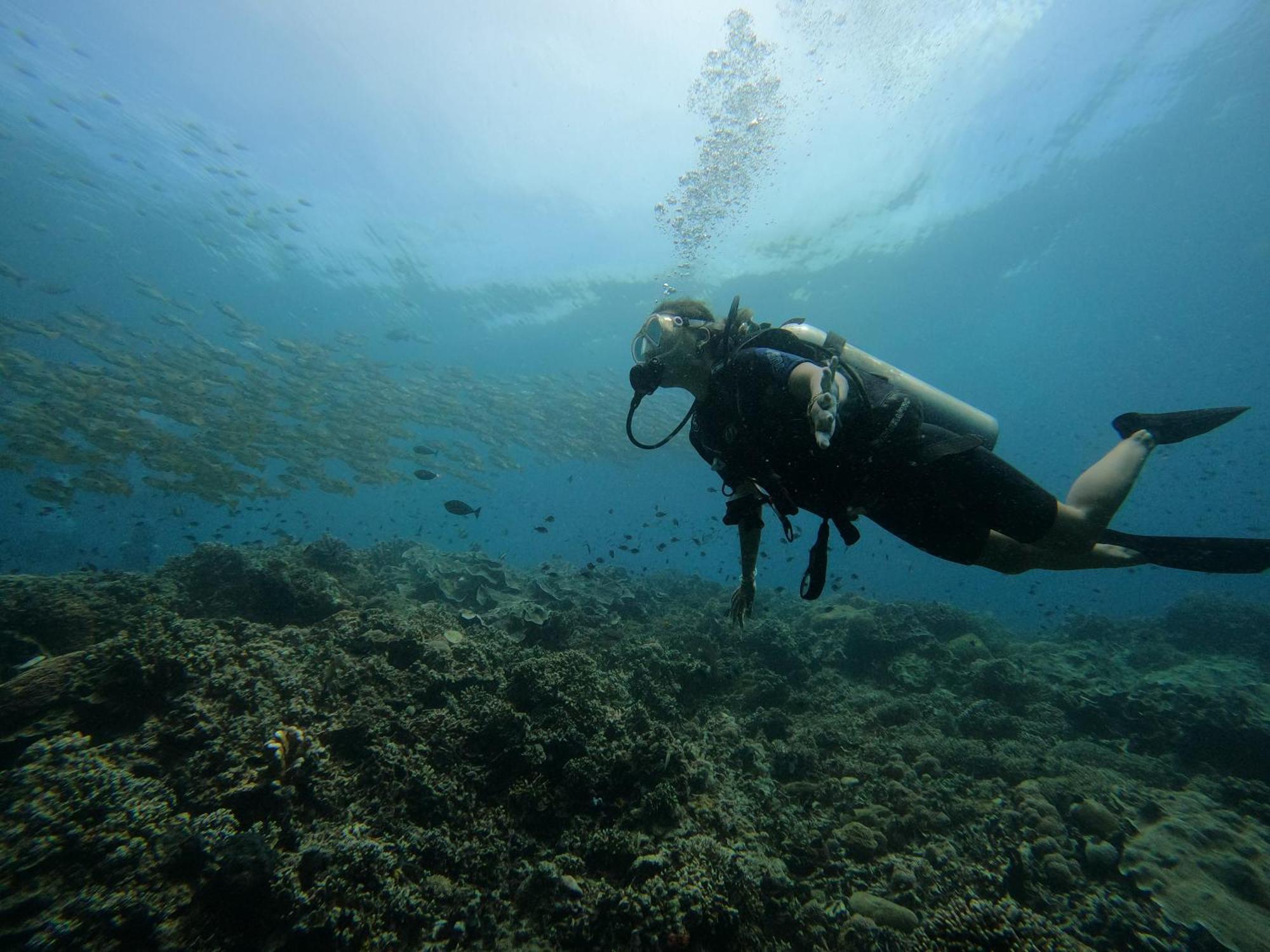4 Sisters Divers Bunaken Kültér fotó