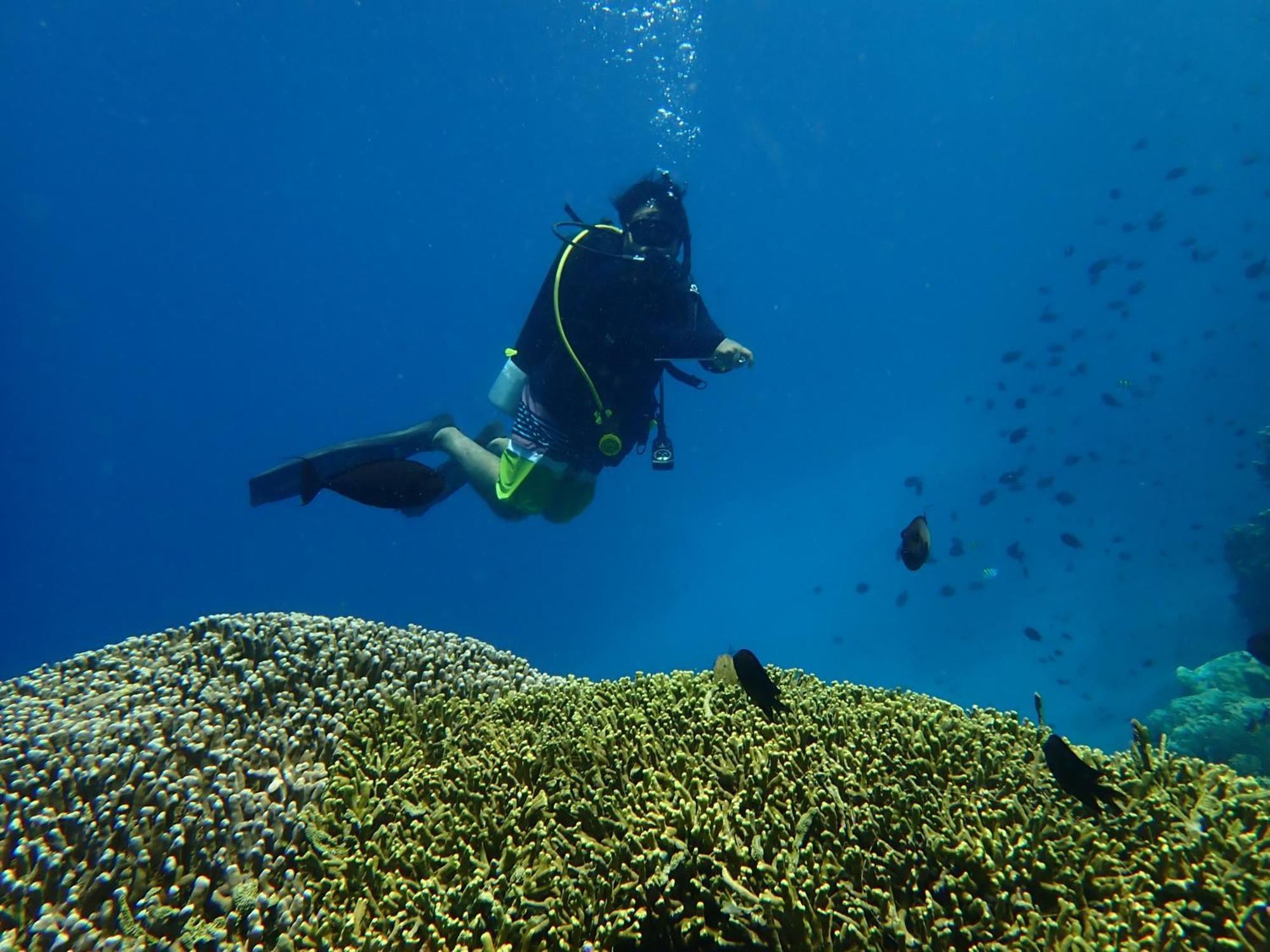 4 Sisters Divers Bunaken Kültér fotó
